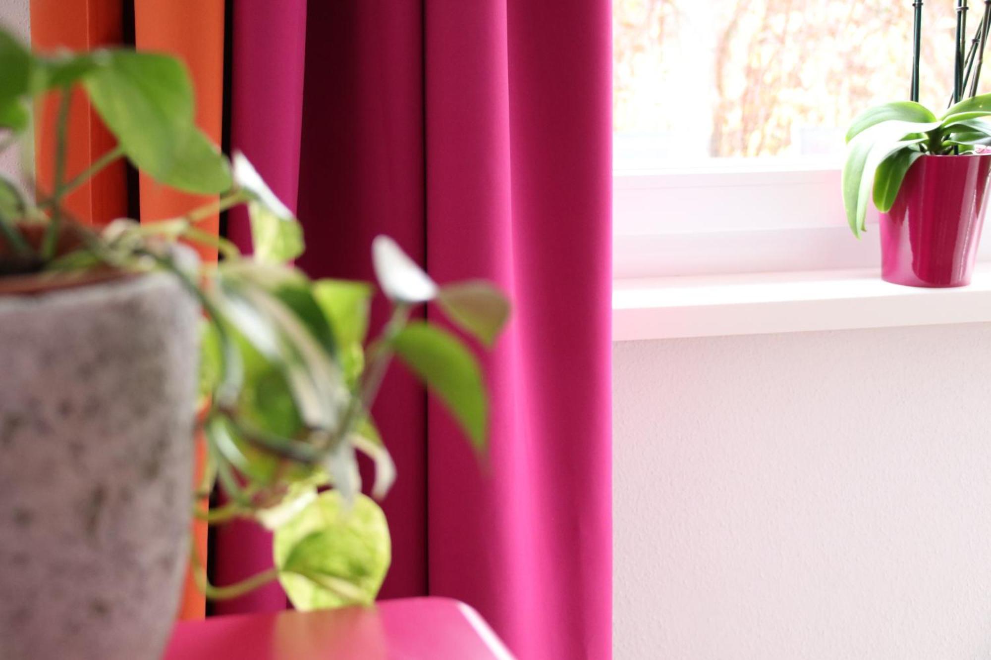 Art Nomay Summercard Blick Of Salzburg Apartment Kaprun