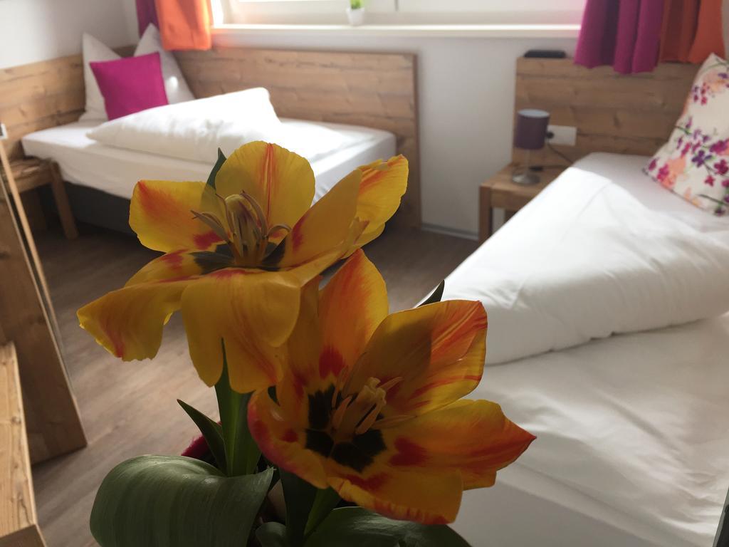 Apartment Art Nomay Summercard Blick Of Salzburg Kaprun