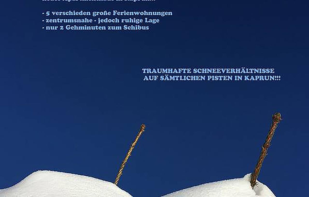 Apartment Art Nomay Summercard Blick Of Salzburg Kaprun