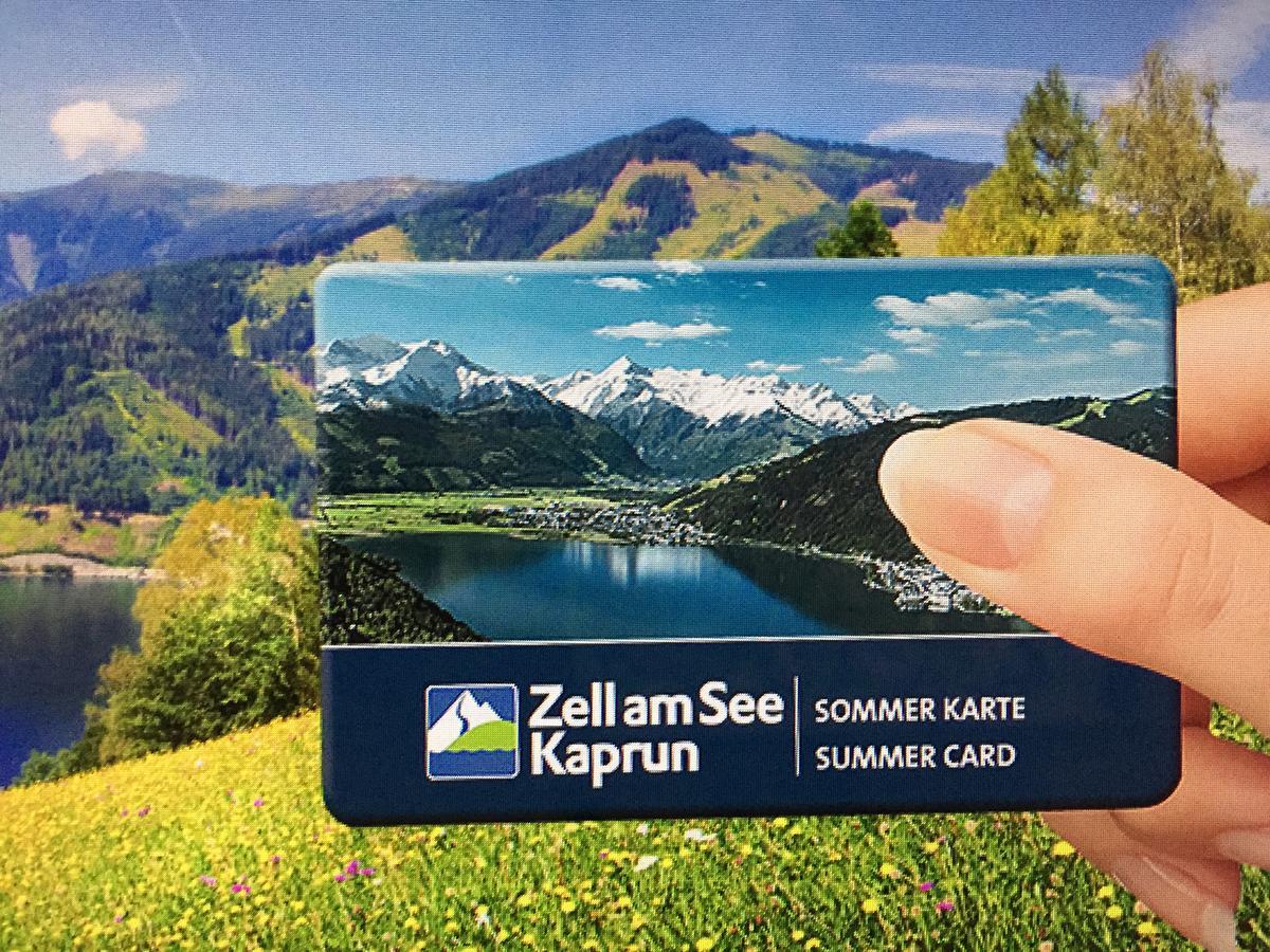 Apartment Art Nomay Summercard Blick Of Salzburg