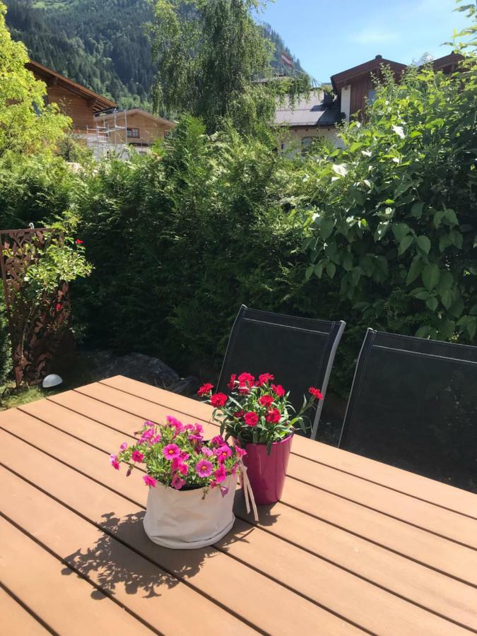 Art Nomay Summercard Blick Of Salzburg Kaprun