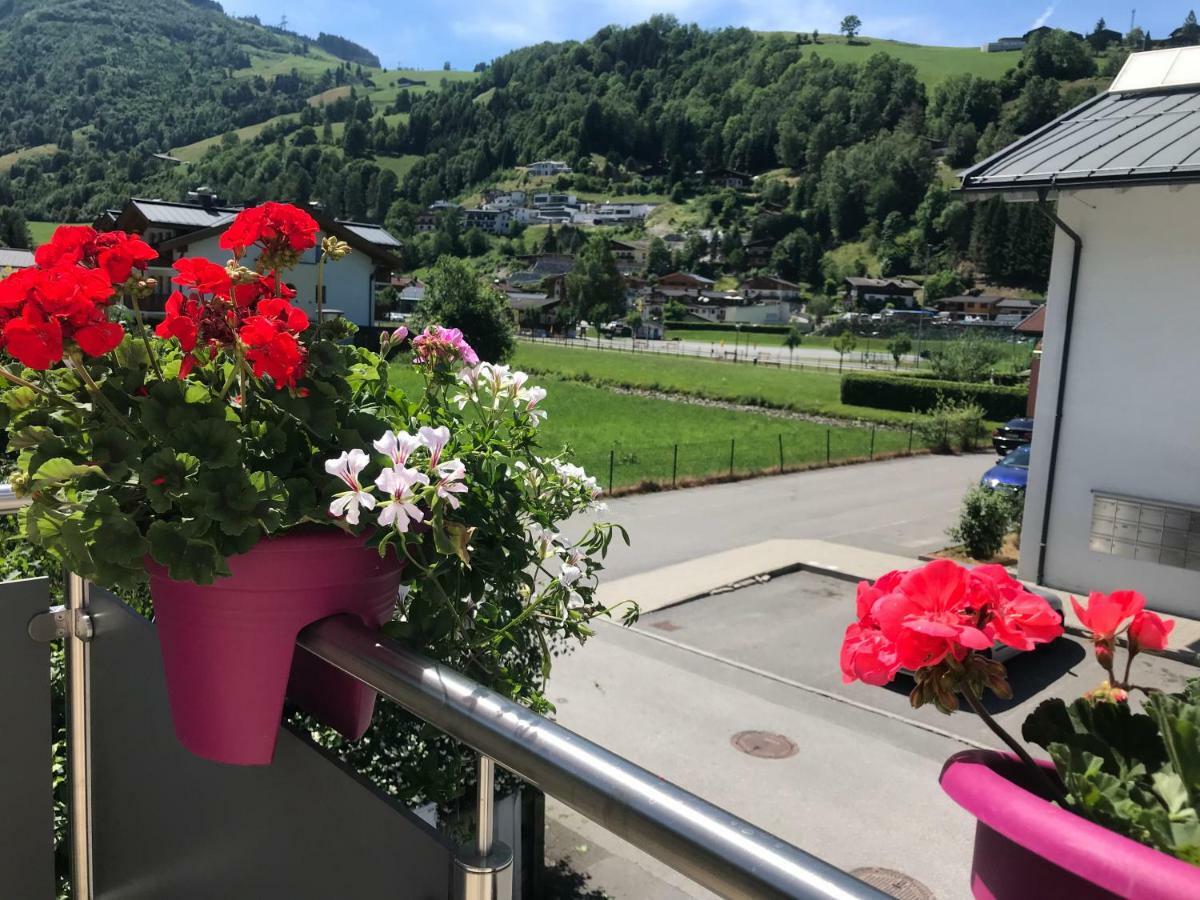 Appartement Art Nomay Summercard Blick Of Salzburg Kaprun